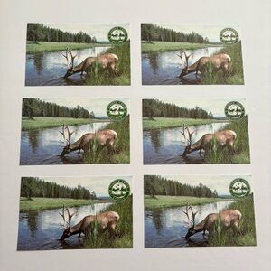 3/$25 Vintage Nature Timber Creek Lodge Postcards